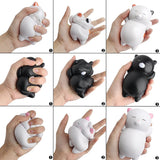 Jumbo Slow Rise Cat Squishies