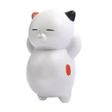 Jumbo Slow Rise Cat Squishies